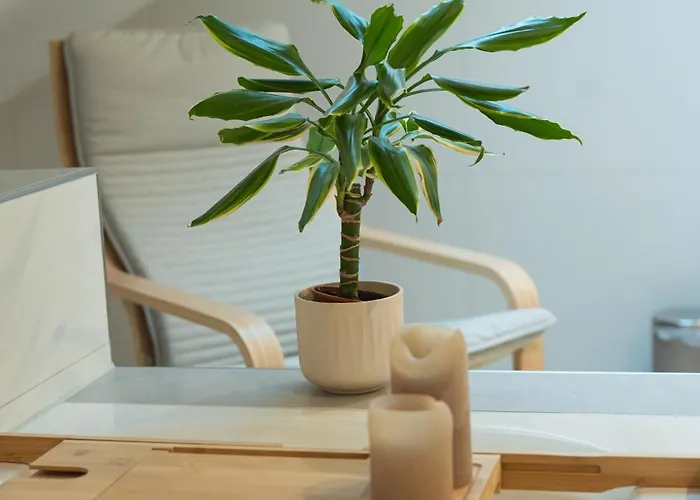 Apartament Mama-apartments - Netflix, Balkon, Kaffee & Tee, Wifi, Waschmaschine, Familienfreundlich, Kostenloser Parkplatz - 125 Qm Fulda